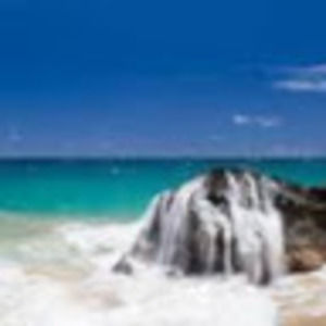 Meet your Posher, Miriam